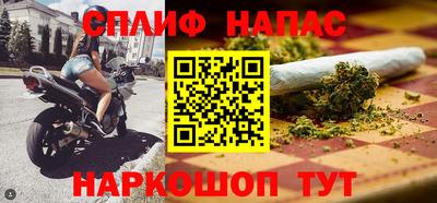 гидра Будённовск