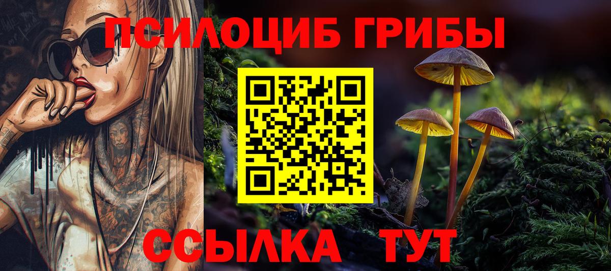 Псилоцибиновые грибы Psilocybe Батайск